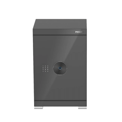 Két sắt Philips SBX602-6CU 89 Kg màu xám thumb