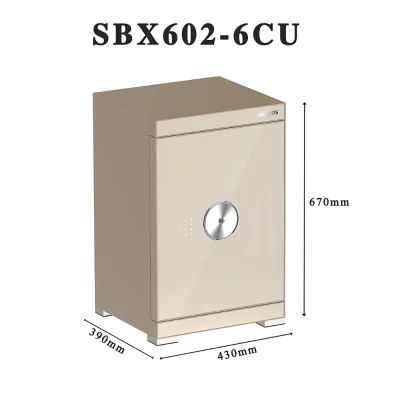 Két sắt Philips SBX602-6CU 89 Kg màu vàng champagne thumb