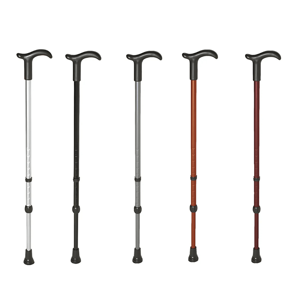 Gậy đi bộ Rebotec Simplex màu đen