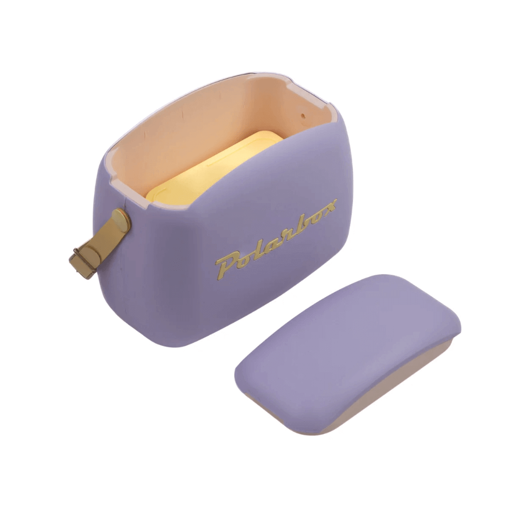 Hộp Picnic 6L Pop Lilac Yellow PolarBox 993492 màu tím