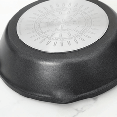Chảo đúc cao cấp Tefal Robusto có miệng rót 22cm E2490344