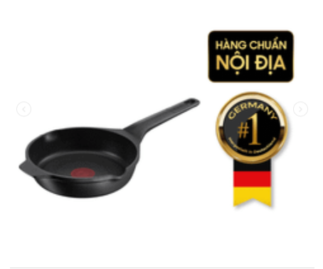 Chảo đúc cao cấp Tefal Robusto có miệng rót 22cm E2490344